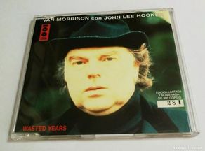 CD de Música: VAN MORRISON Wasted years CD SINGLE PROMO CADENA 100 NUMERADO 284 ESPAÑA RARO 2 TEMAS